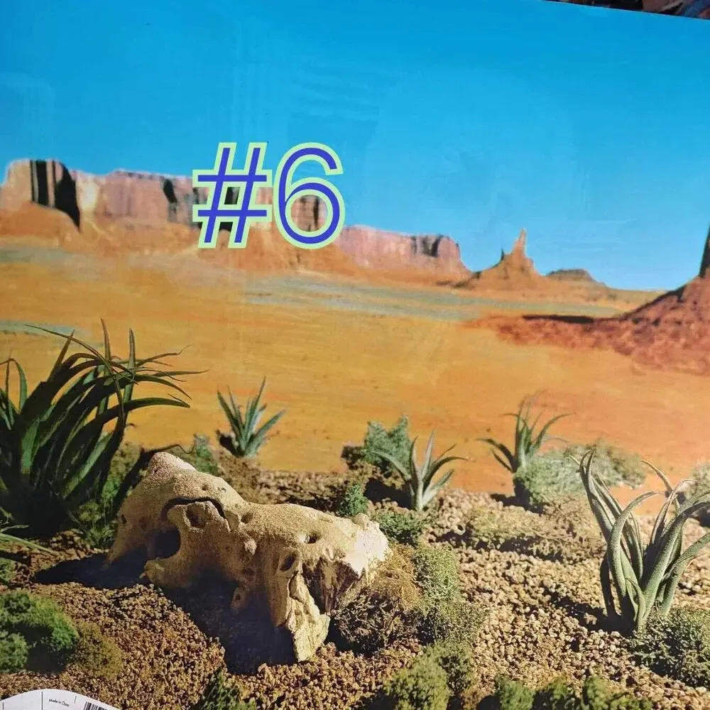 Aquarium/ Reptile Tank Backgrounds Choose your size- Double sided for added fun.